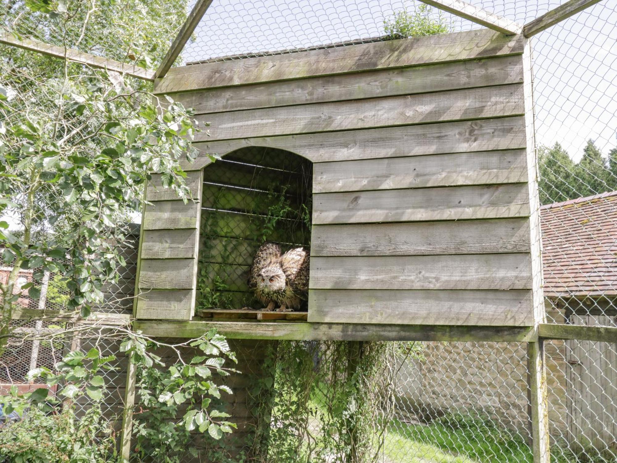 Villa Kite's Nest Eaton  Exterior foto